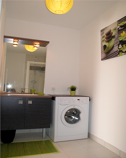 Salle de douche avec lave-linge